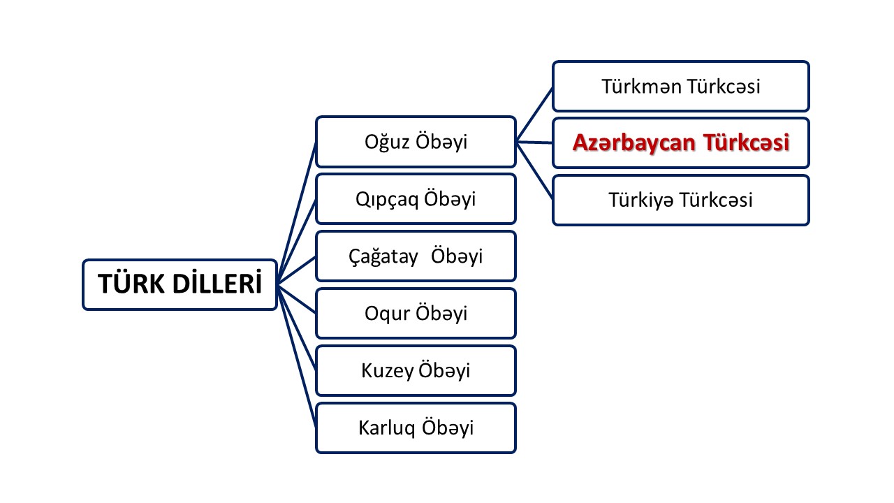 طبقه‌بندی زبان‌های ترکی، آموزش ترکی آذری، آذری باکو، آذری تبریزی، جایگاه زبان ترکی آذری در میان سایر زبان‌های ترکی, لهجه های ترکی, Azərbaycan dili